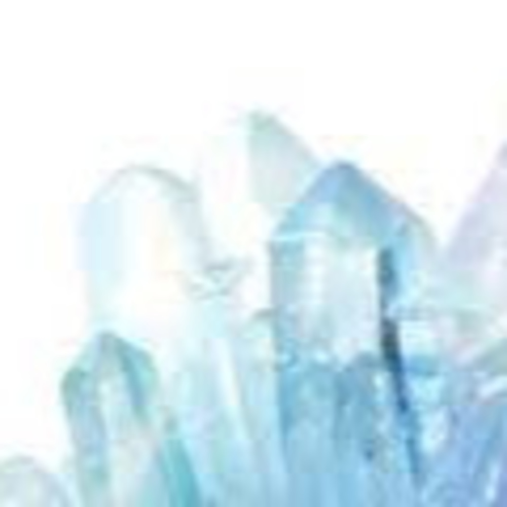 Meet your Posher, Orly